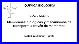 Estructuras de membranas biológicas [upl. by Phillips]