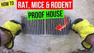 How To Protect your Home from Rats Mice amp Rodents Jonny DIY [upl. by Amadus]