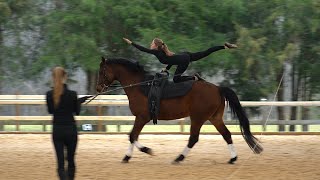 Equestrian Vaulting  1 Star Compulsories at Canter [upl. by Raamaj]