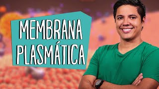 MEMBRANA PLASMÁTICA  CITOLOGIA  Estrutura  Prof Kennedy Ramos [upl. by Nylinnej]