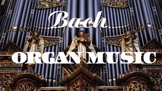 Bach  The Best Organ Music [upl. by Hillinck]