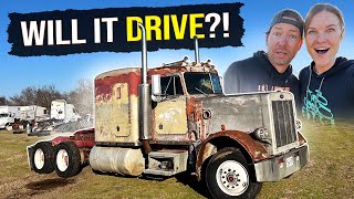 Will it DRIVE Our 1984 359 Peterbilt REVIVAL [upl. by Thorn]