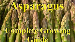 How To Grow Asparagus  Complete Growing Guide [upl. by Anyak]