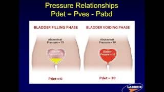 LABORIE Webinar Series Components of Urodynamic Testing [upl. by Ainalem]