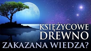 KSIĘŻYCOWE DREWNO  UKRYTA WIEDZA O DRZEWACH I DREWNIE NA NOWO ODKRYTA BaldTV [upl. by Arline]