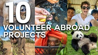 10 LIFE CHANGING VOLUNTEER ABROAD EXPERIENCES [upl. by Yenmor]