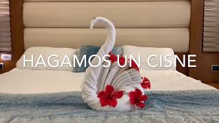 ANIMALES DE TOALLA 1  Tortuga Elefante Cisne  DIY Tutorial [upl. by Yatnuahc955]