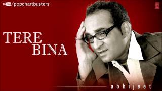 Tere Bina Lyrics  Zaeden ft Amyra Dastur Kunaal Verma [upl. by Marguerite608]