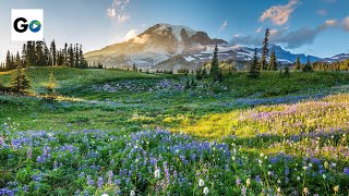 Mount Rainier National Park [upl. by Uos]