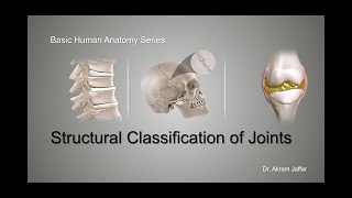 Structural Classification of Joints [upl. by Vorster384]