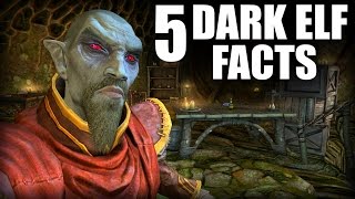 Skyrim  5 Dark Elf Facts  Elder Scrolls Lore [upl. by Minette410]