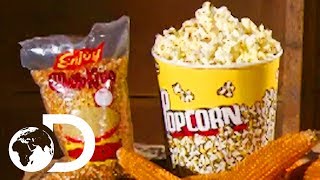 POPCORN  How Its Made [upl. by Cressida]