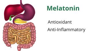 Understanding Melatonin with Dr Carrie Jones [upl. by Leor]