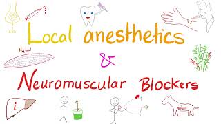 Local Anesthetics and Neuromuscular Blockers  Anesthesiology [upl. by Griz]