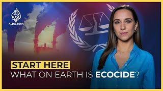 What on Earth is Ecocide  Start Here [upl. by Enirahtac804]