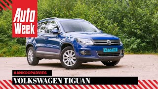 Volkswagen Tiguan  Occasion aankoopadvies [upl. by Euqirat662]