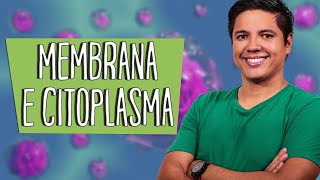 MEMBRANA E CITOPLASMA  ORGANELAS  Resumo para a Prova  Prof Kennedy Ramos [upl. by Eslehc]