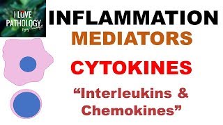 INFLAMMATION Part 6 Chemical Mediators CYTOKINES Interleukins amp Chemokines [upl. by Zerat261]