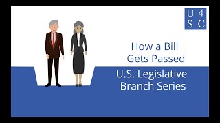 How a Bill Gets Passed From Bill to Law  US Legislative Branch Series  Academy 4 Social Change [upl. by Ahsillek652]