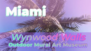 Miami  Wynwood Walls amp Beach Sunrise [upl. by Ardolino]