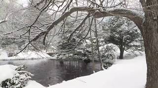 Snow Falling on Lake for 8 Hours No Music Relaxing Sleeping Meditation Studying Baby to Sleep [upl. by Florance]