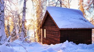 Off Grid Cabin in the Alaskan Wilderness [upl. by Llenrap]