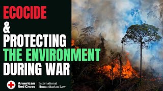 Ecocide Protecting the Environment during Armed Conflict [upl. by Ueih]