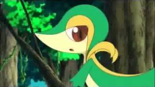 Snivy Sings ❤ Pokemon BW [upl. by Ahsienak]