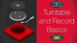 Turntable Setup and Basics for Absolute Beginners [upl. by Sivek]