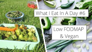 FODMAP Diet  Low FODMAP Diet  What Is The FODMAP Diet [upl. by Carrington]