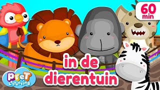 Pretlettertjes • Dierengeluiden in de Dierentuin • 60 min Special [upl. by Selohcin]