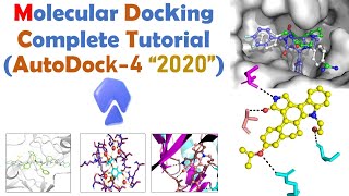 Molecular docking for Beginners  Autodock Full Tutorial  Bioinformatics [upl. by Knowlton441]