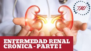 Insuficiencia Renal Síntomas Causas Diagnostico y Dieta [upl. by Wenger979]