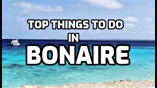 Top Things To Do In Bonaire [upl. by Suoiluj735]