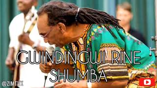 Thomas Mapfumo amp The Blacks Unlimited  Gwindingwi Rine Shumba [upl. by Eberly740]