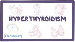 Thyroid Hormones and Thyroid Function Tests [upl. by Fidole392]