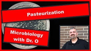 Pasteurization Microbiology [upl. by Colton576]