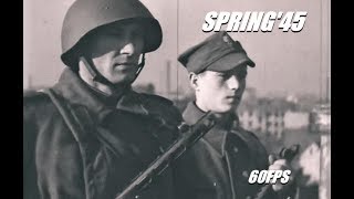 Red Army offensive in Poland  Soviet edit  Megahit  Terminate [upl. by Claudelle]