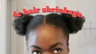 TOP 3 STYLES FOR 4C HAIR SHRINKAGE [upl. by Maurizia]