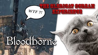 Bloodborne Meme The Clericat Scream Experience [upl. by Wallas232]