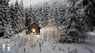 Relaxing Snowfall Woodland Cabin  The Best Relax Music [upl. by Nolyd438]