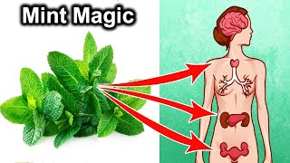 Science Based Health Benefits of Mint [upl. by Ahsaei]