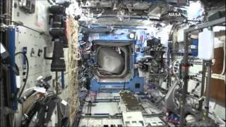 Astronaut wears Gorilla suit on international Space Station to [upl. by Phillida367]