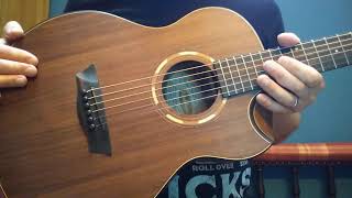 Washburn G Mini 55 Koa acoustic guitar review [upl. by Rekcut]