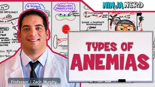 Hematology  Types of Anemias [upl. by Kurtzig989]