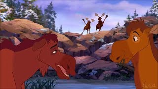 Brother Bear 2  Moosettes Scene English HD [upl. by Benjamin]