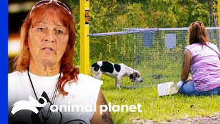 Tias Most Ingenious Dog Rescue Moments  Pit Bulls amp Parolees [upl. by Rednirah321]