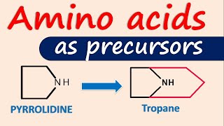 Amino acids as precursors for alkaloids [upl. by Murray]