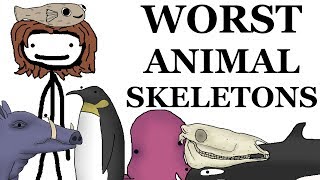 Top 10 Worst Animal Skeletons [upl. by Amsirp]