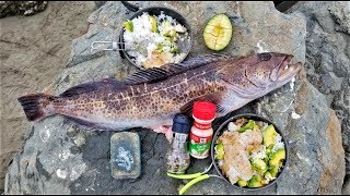 Catch and Cook BOILING Rice  Fish Avocado and Butter SO EASY [upl. by Erinn]